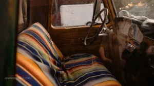 car seat blanket