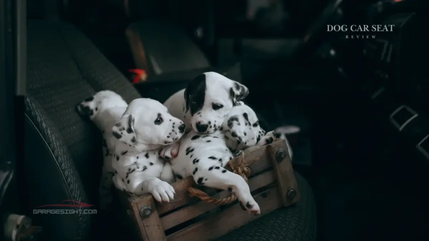 Dog Car Seat
